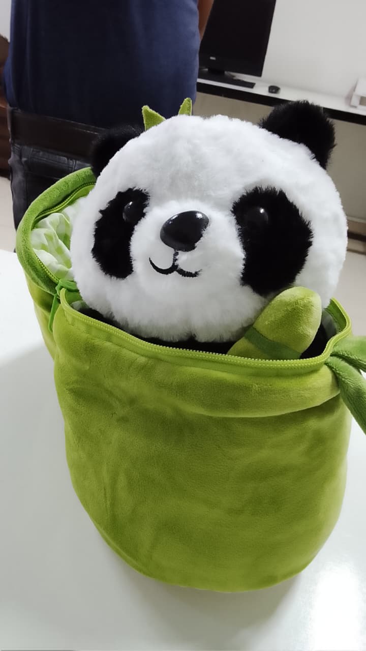 Panda Bamboo Plush Toy – Soft Toy with Bamboo Pouch