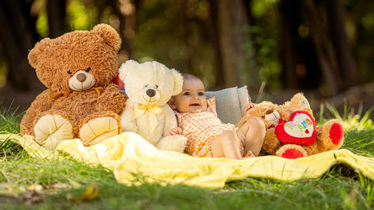 Teddy Bear Price in Pakistan