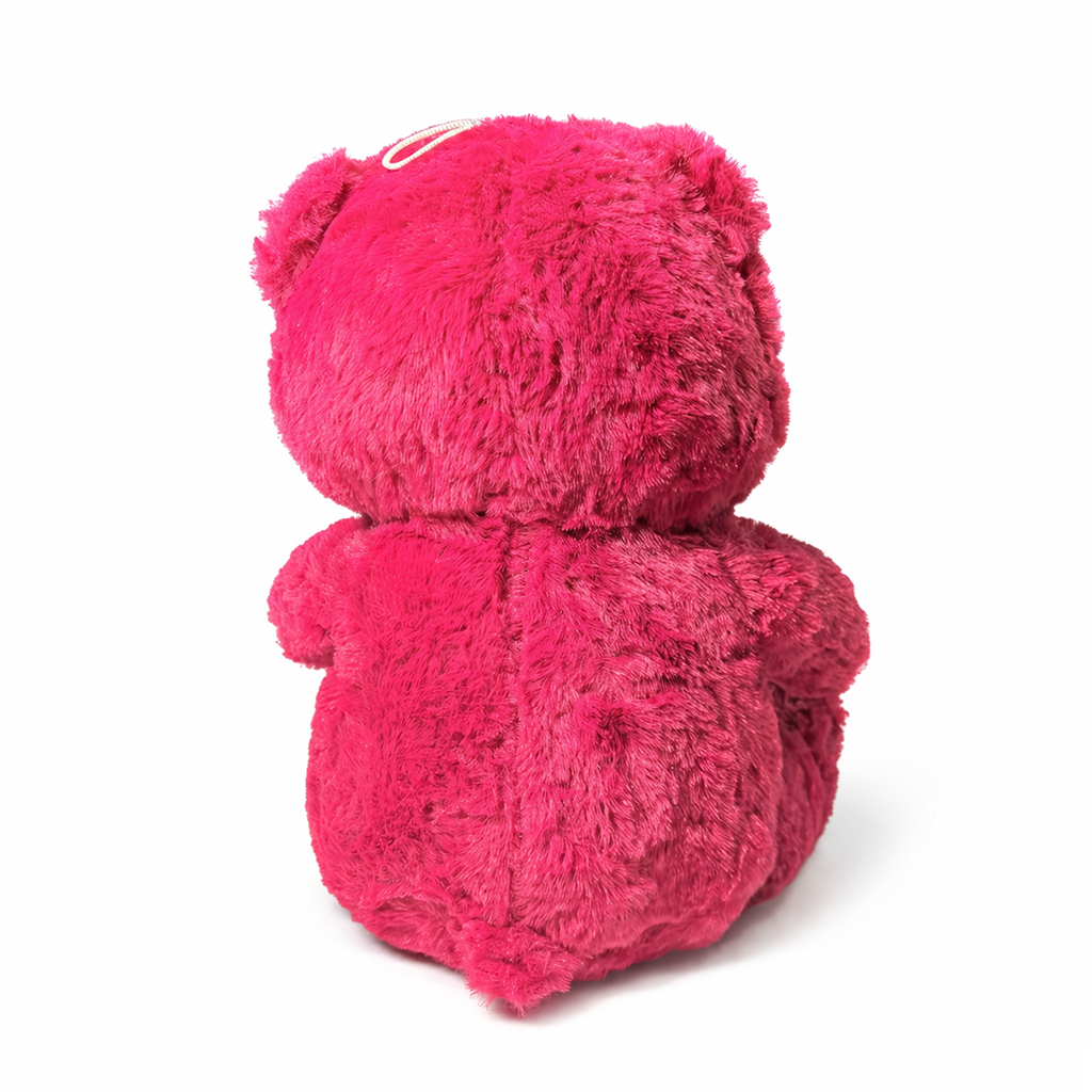 Soft Stuffed Red Teddy Bear with Cap