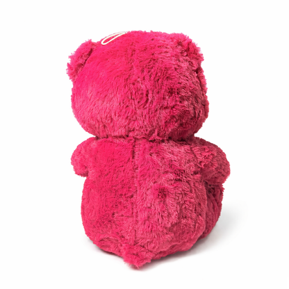 Soft Stuffed Red Teddy Bear with Cap