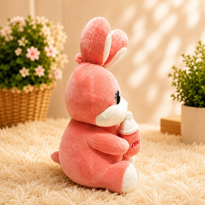 Soft Pink Bunny Gift