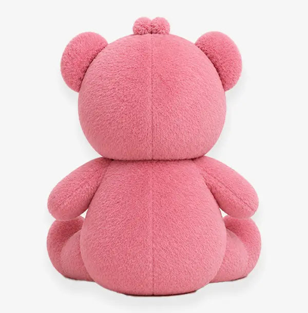 Teddy Bear with Hoodie