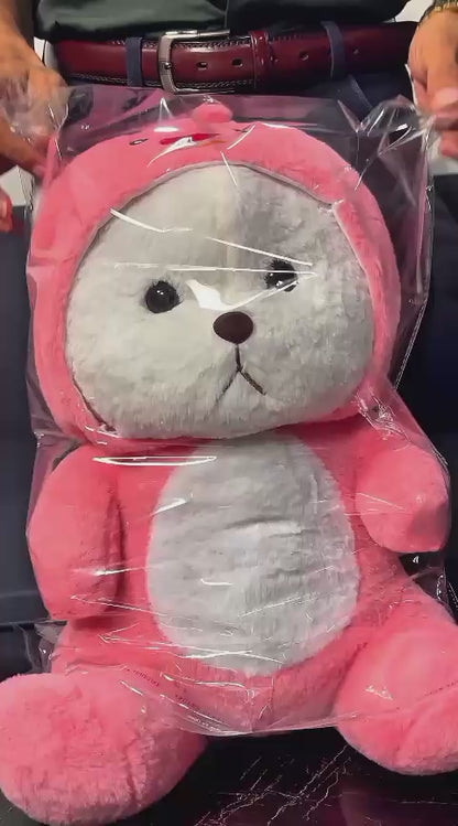 Pink Teddy Bear with Hoodie | Cute Plush Gift for Kids